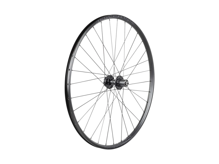 BontragerConnectionQR6BoltDiscBoost29Wheel_27381_B_Primary.webp