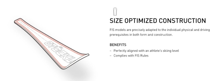 laser gs konstrukcja.jpg