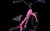 ROWER TREK PRECALIBER 12- FLAMINGO 3.JPG