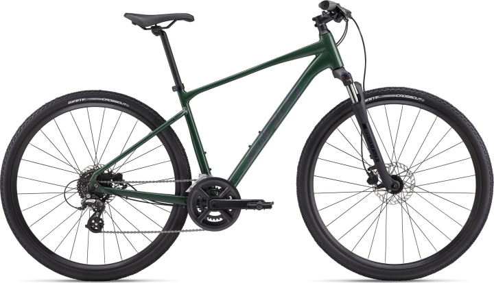 MY24Roam3Disc_ColorAHunterGreen.jpg