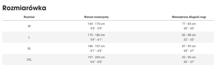 Verve_Plus_3_Men_rozmiarówka.jpg