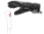 pegas-3.jpg