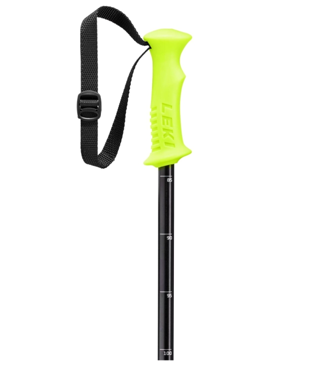vario-2.jpg