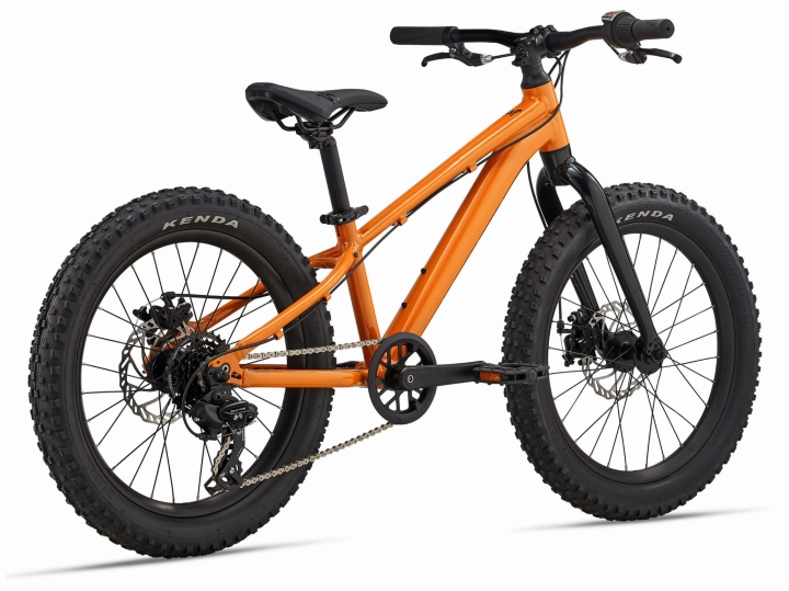 MY24STP20-Giant_ColorASandstorm_Rear.jpg
