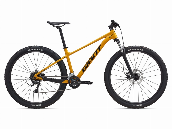 MY25Talon293_ColorBBeewax.jpg
