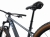 MY25Tempt291_ColorABlackDiamond-D7.jpg