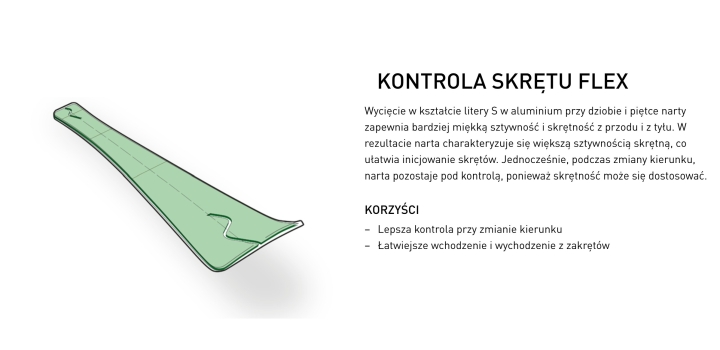 kontrola-skretu-flex.jpg