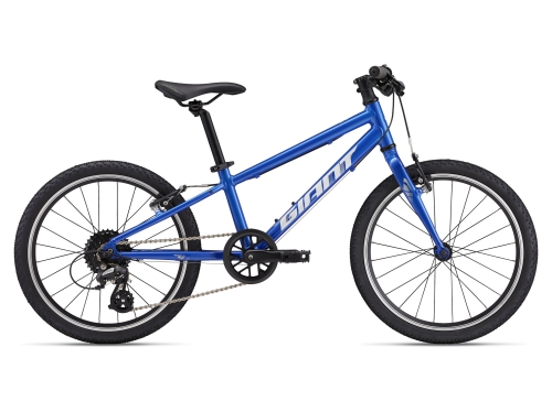 MY24ARX20_ColorBCobalt1.jpg