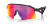0OO9519__951901__P21__shad__qt.png