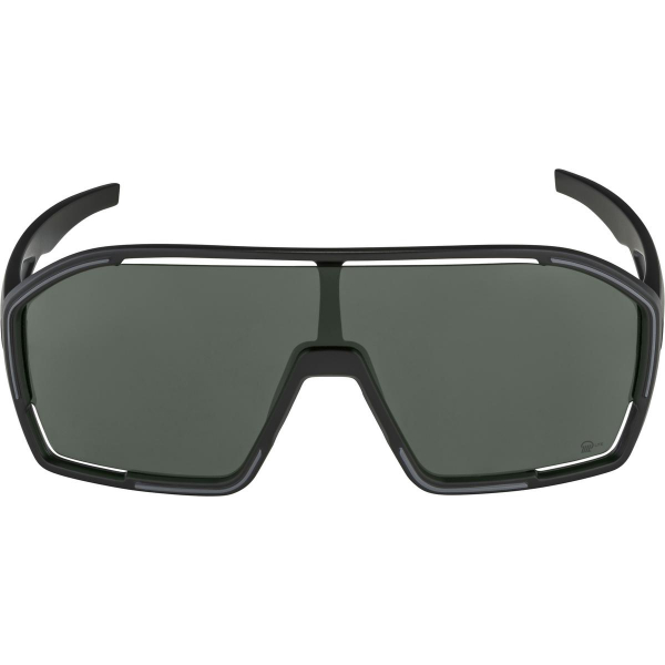 alpina-okulary-bonfire-q-lite-kolor-black-matt-szk (1).jpg
