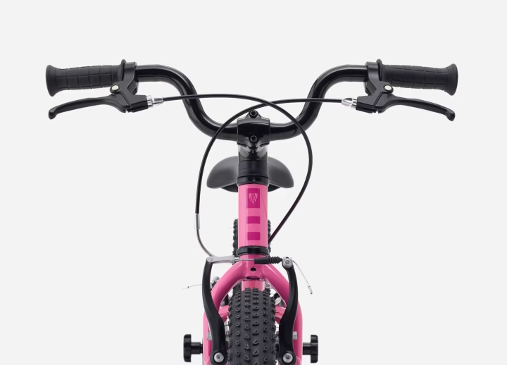Precaliber16Freewheel-27-79630-B-5.png