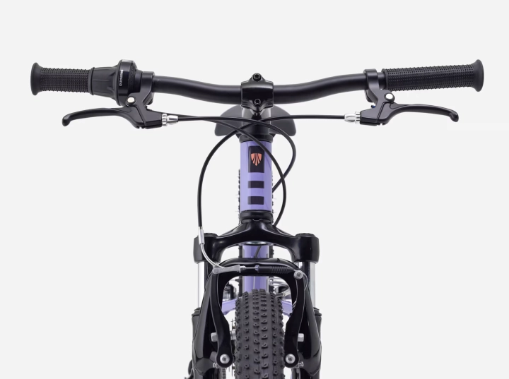 Precaliber248SSuspension-27-79836-B-5.png